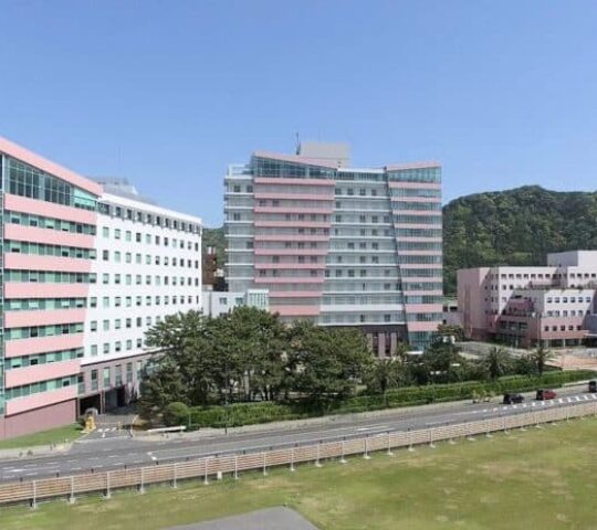 Kameda Medical Center